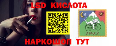 спайс Будённовск