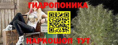 спайс Будённовск