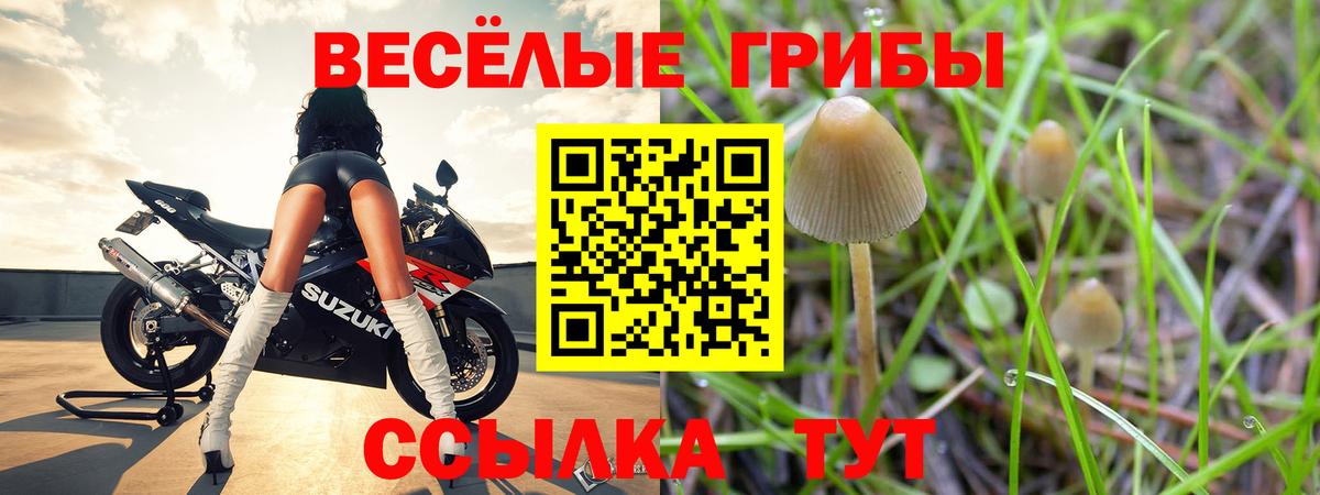 Псилоцибиновые грибы GOLDEN TEACHER  Вход с VPN  Саранск 