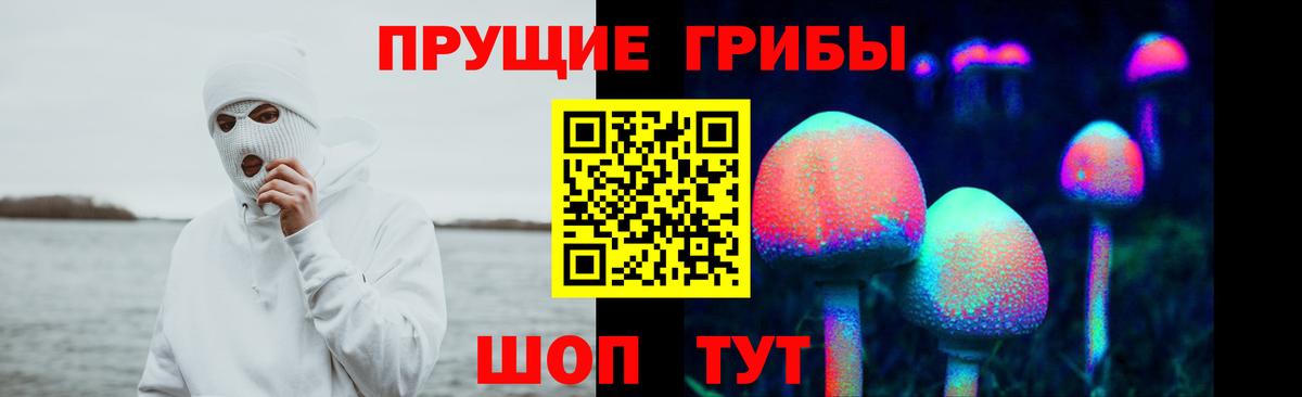 Псилоцибиновые грибы ЛСД Саранск